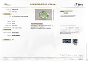 3.87/CT Natural Panna Stone with Govt. Lab Certificate-16489S207708